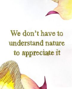 We don't have to understand nature to appreciate it